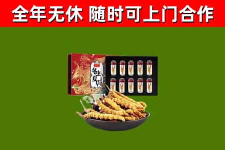 沈丘县回收冬虫夏草价格