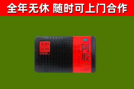 沈丘县回收阿胶